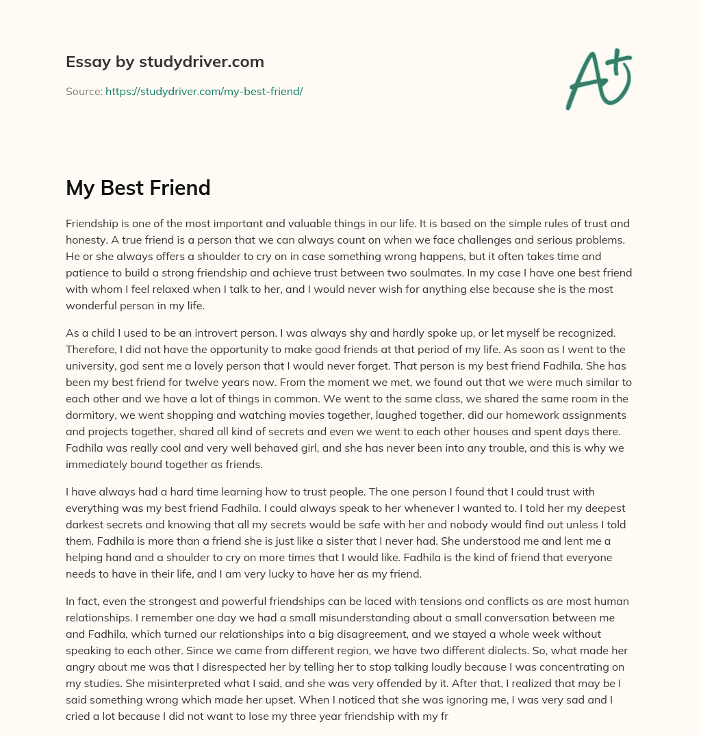 My Best Friend essay
