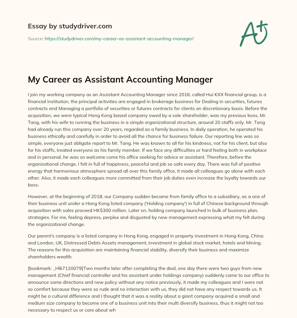 My Career as Assistant Accounting Manager essay