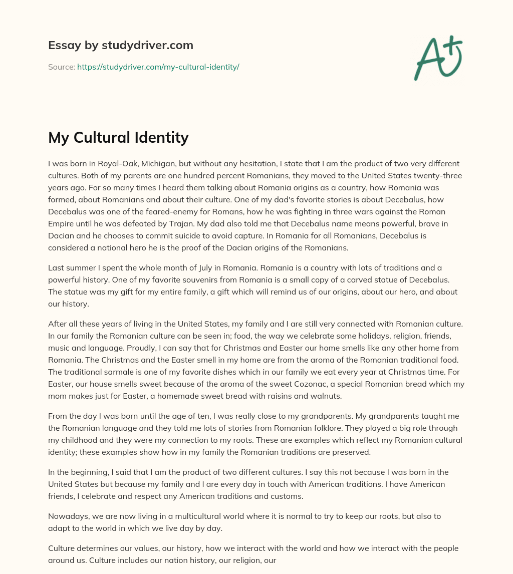 essay on culture identity