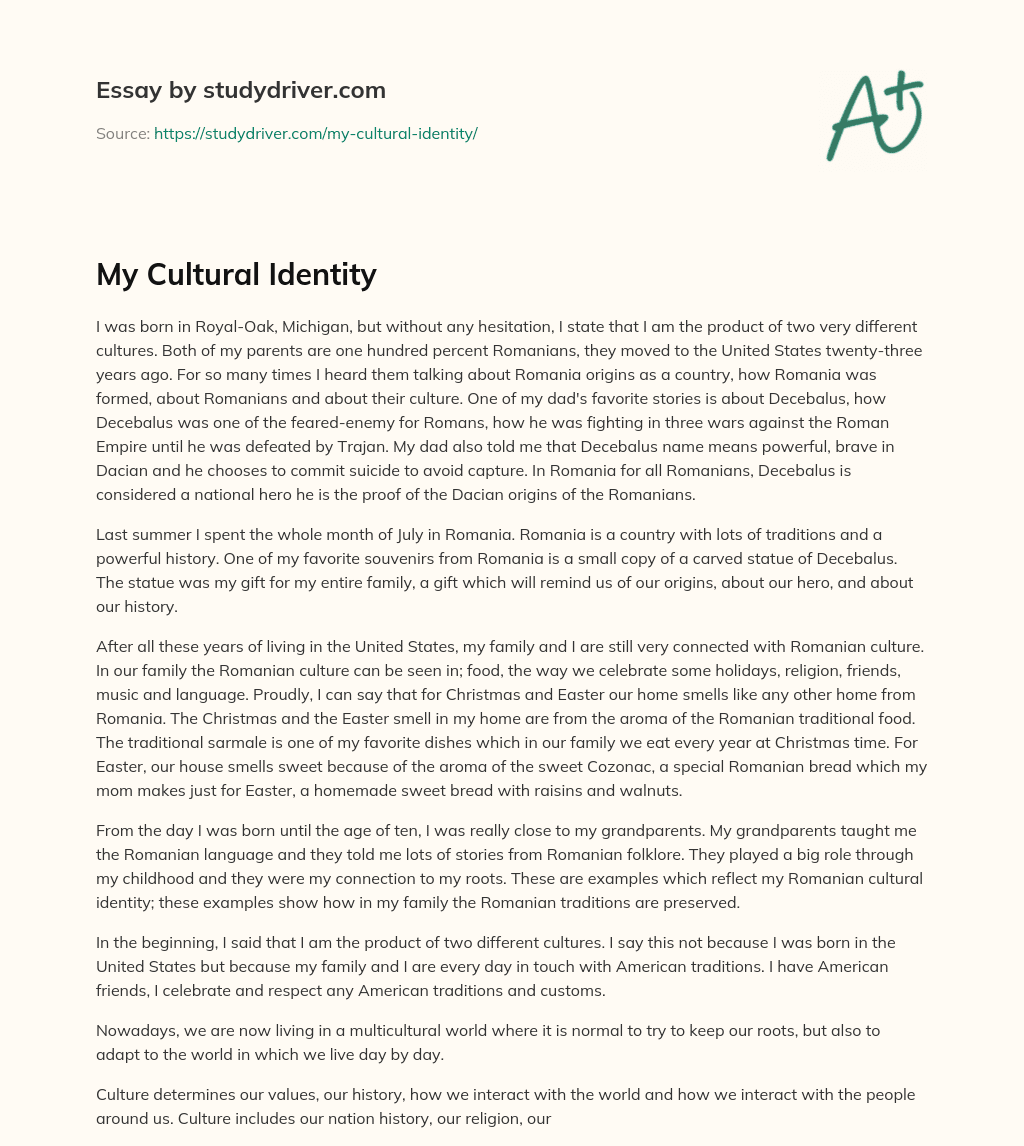 My Cultural Identity Free Essay Example StudyDriver