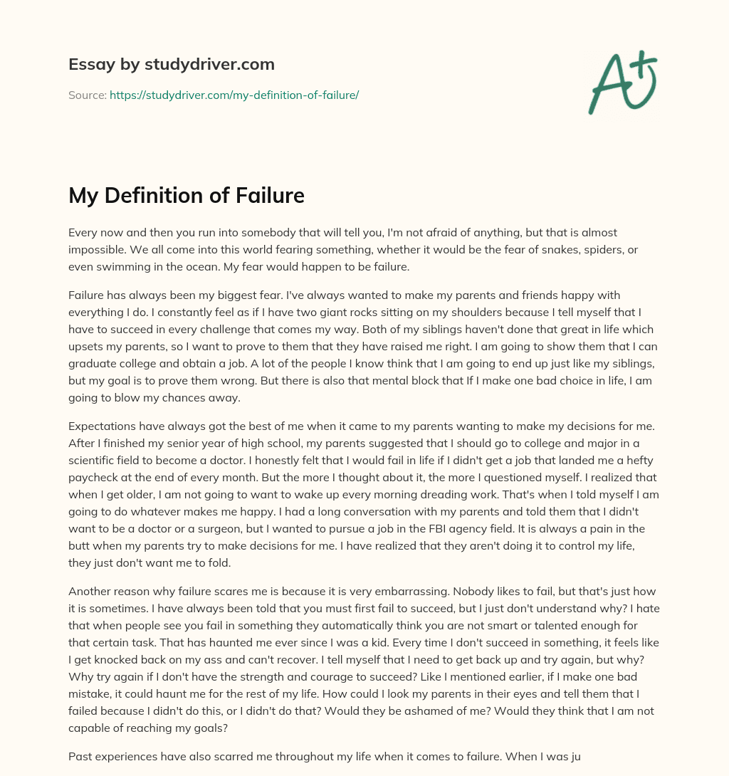 My Definition of Failure essay