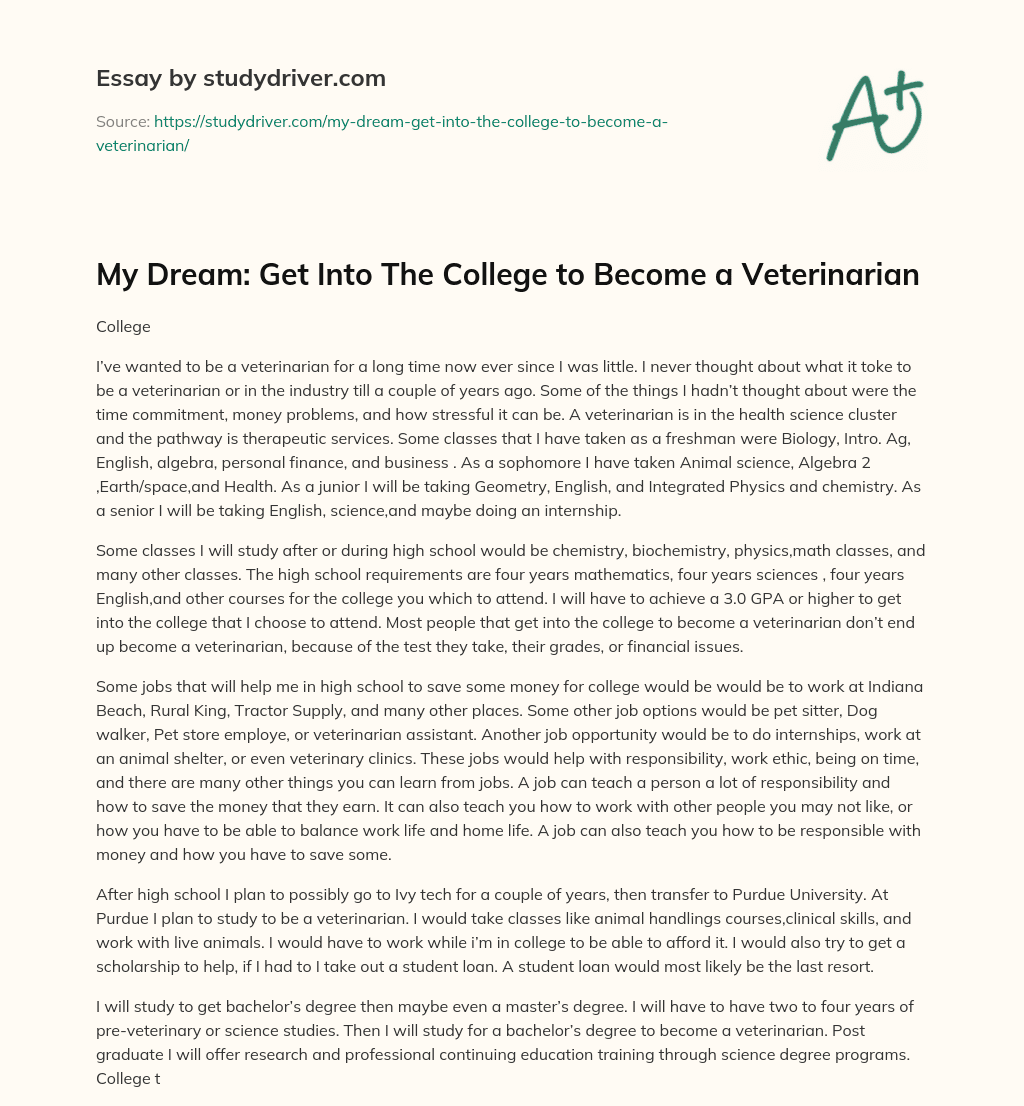 My Dream: Get into the College to Become a Veterinarian essay