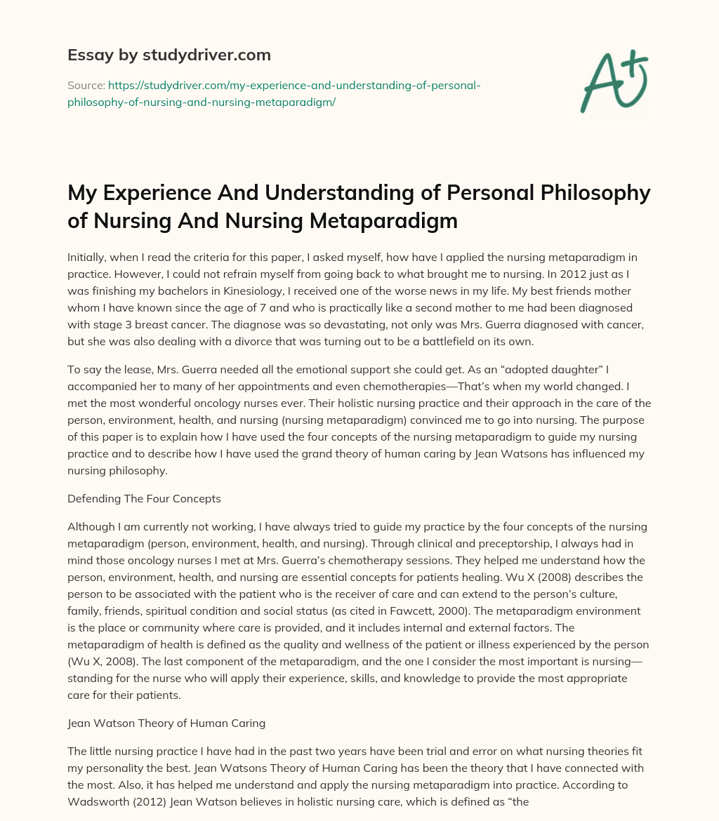 My Experience and Understanding  of Personal Philosophy of Nursing and Nursing Metaparadigm essay