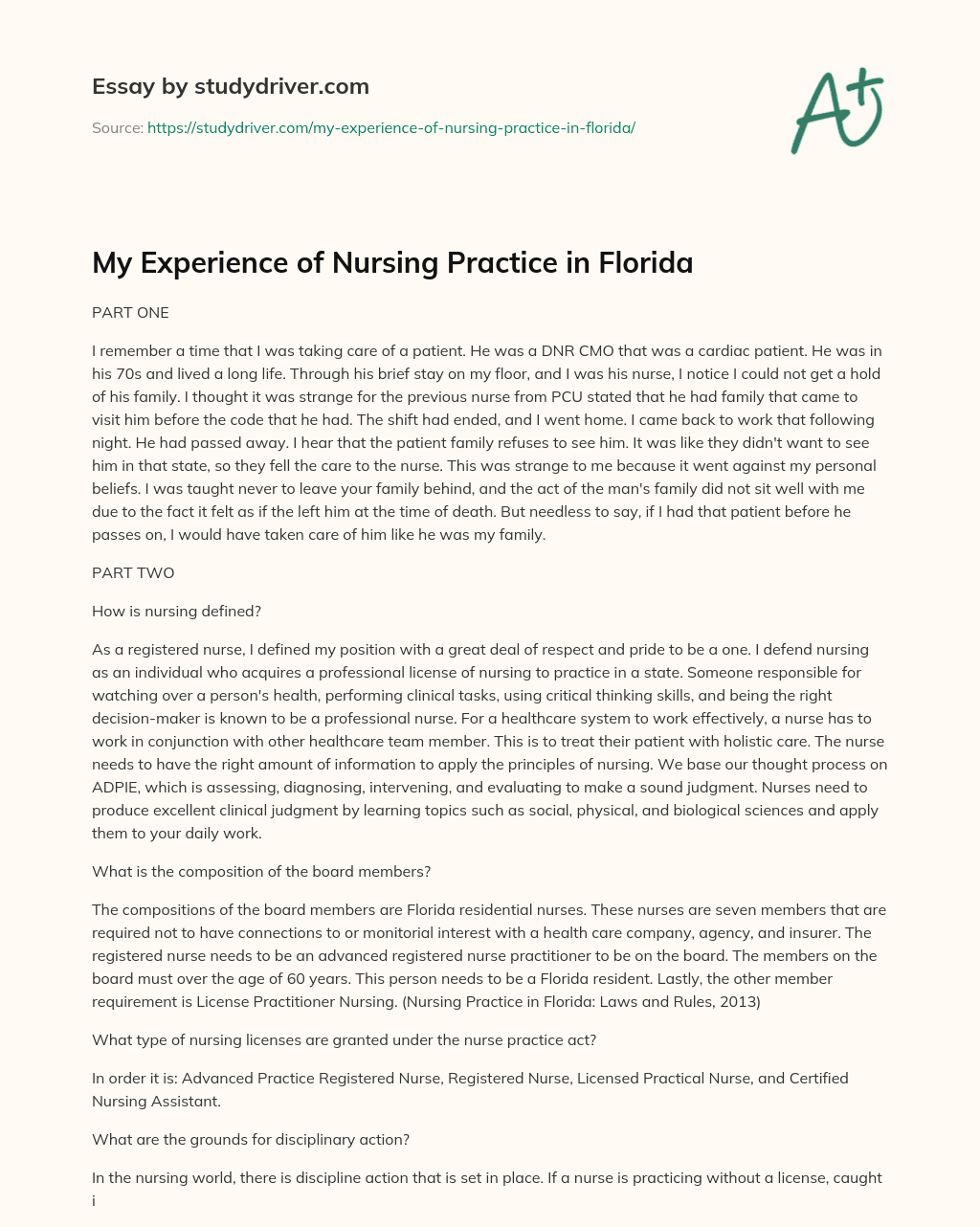 My Experience of Nursing Practice in Florida essay