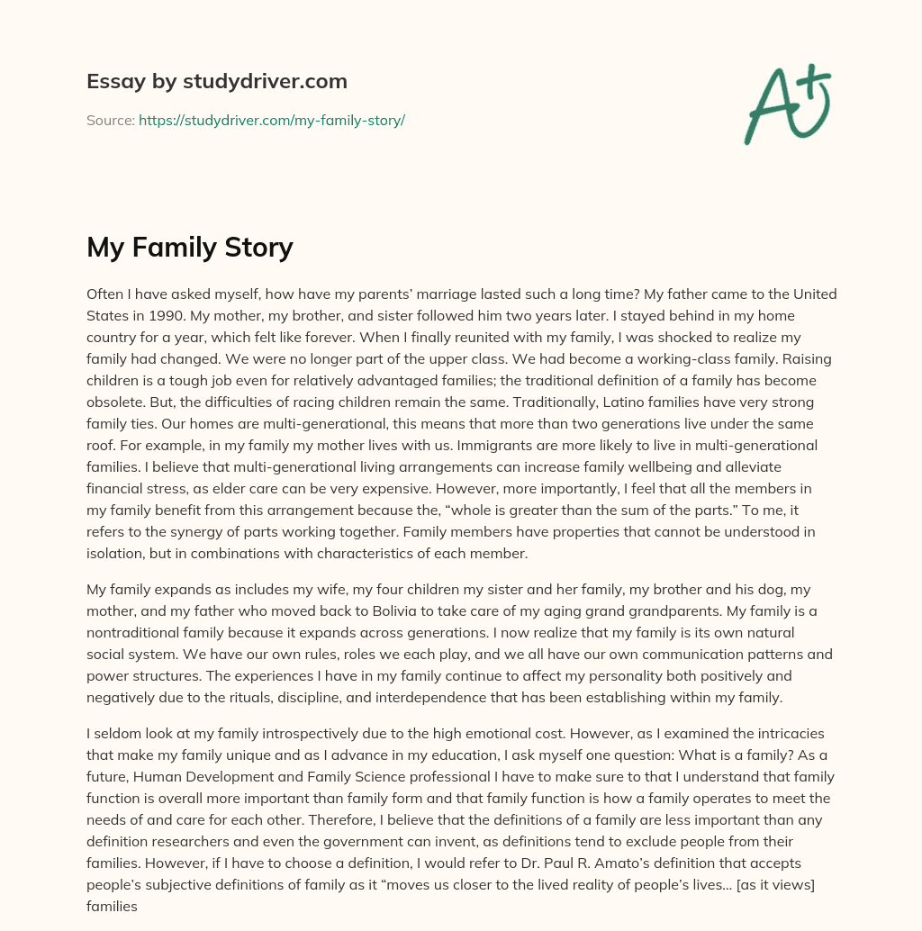 essay family story