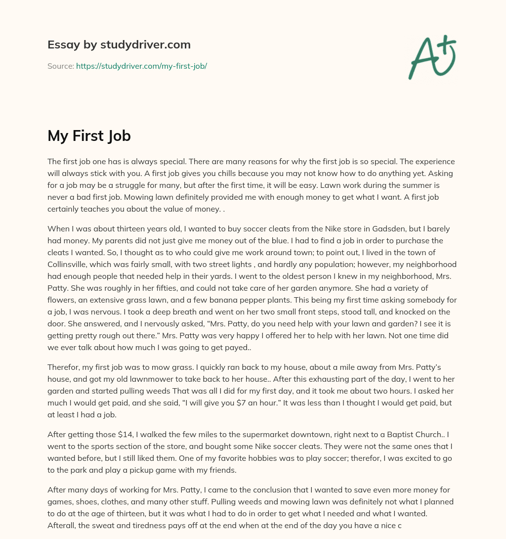 My First Job essay