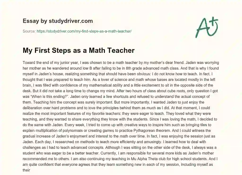 My First Steps as a Math Teacher essay