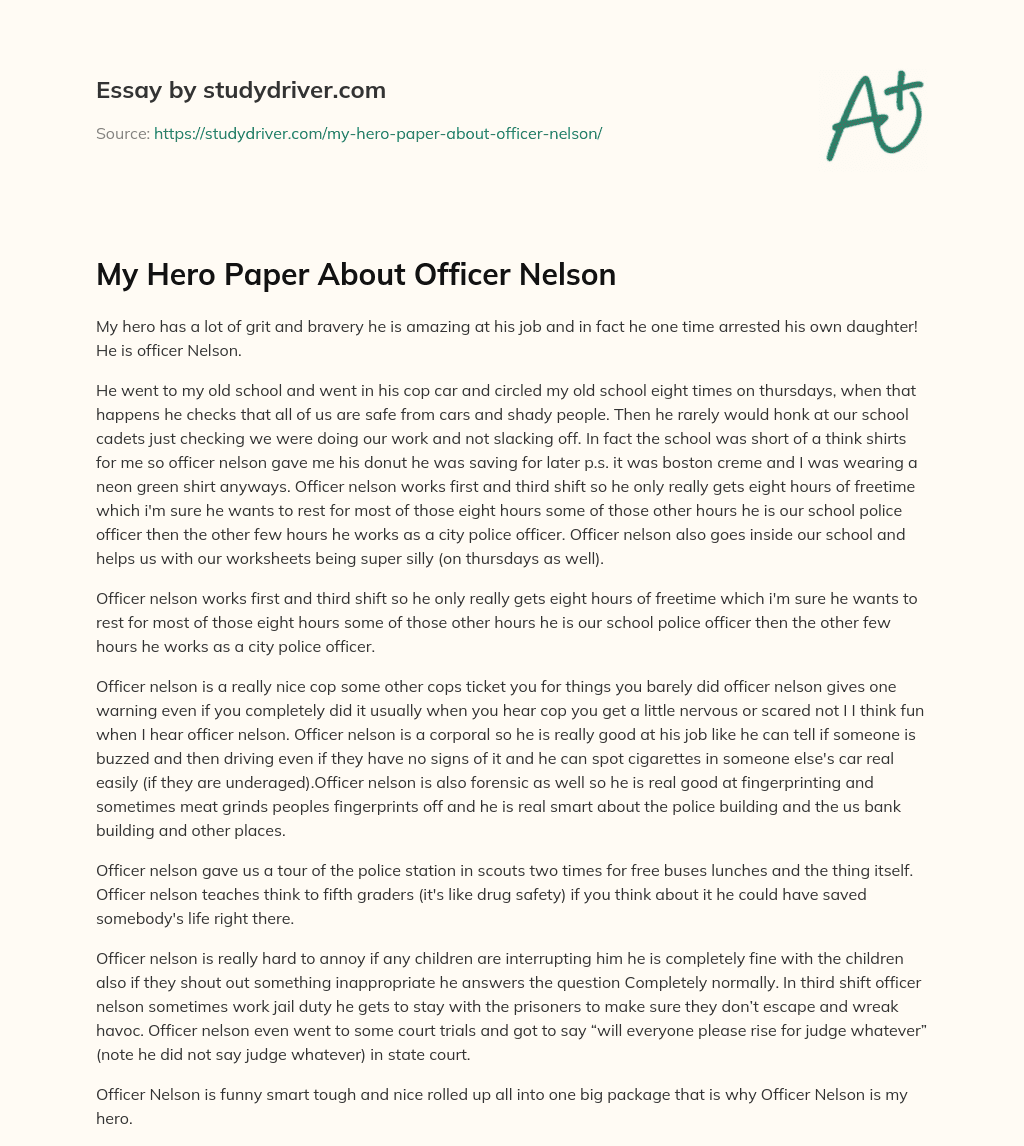 My Hero Paper about Officer Nelson essay