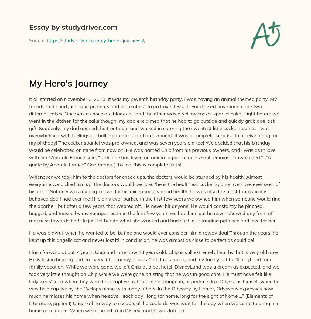 My Hero’s Journey essay