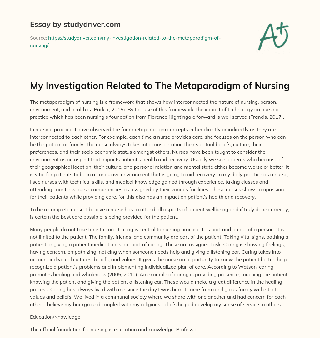 My Investigation Related to the Metaparadigm of Nursing essay