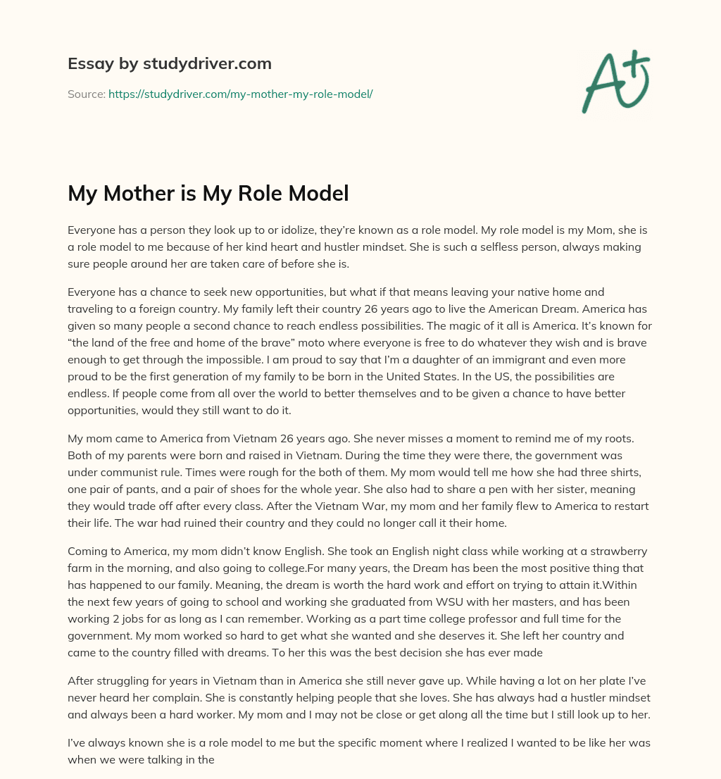 My Mother is my Role Model essay