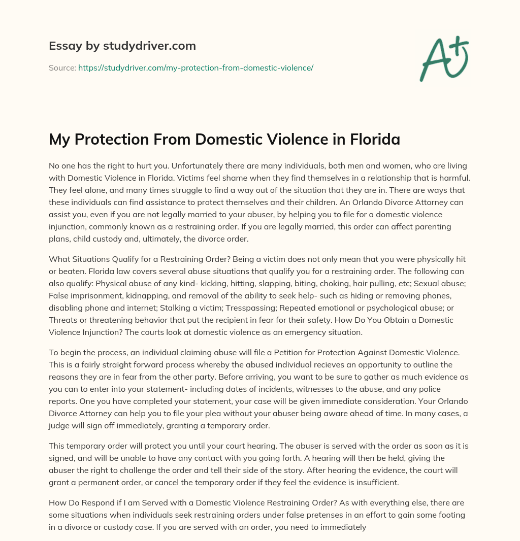 My Protection from Domestic Violence in Florida essay