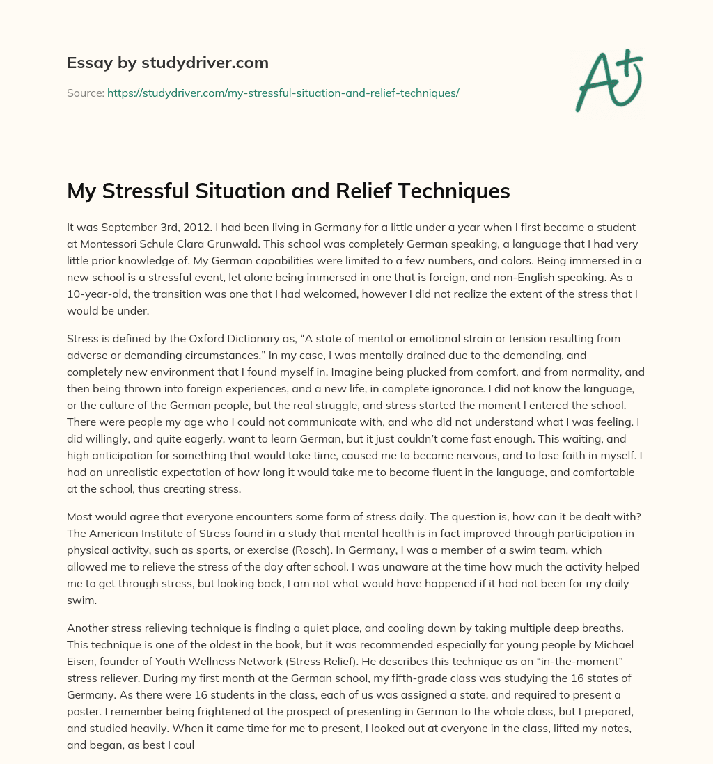 My Stressful Situation and Relief Techniques essay