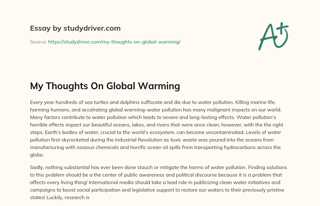 My Thoughts on Global Warming essay