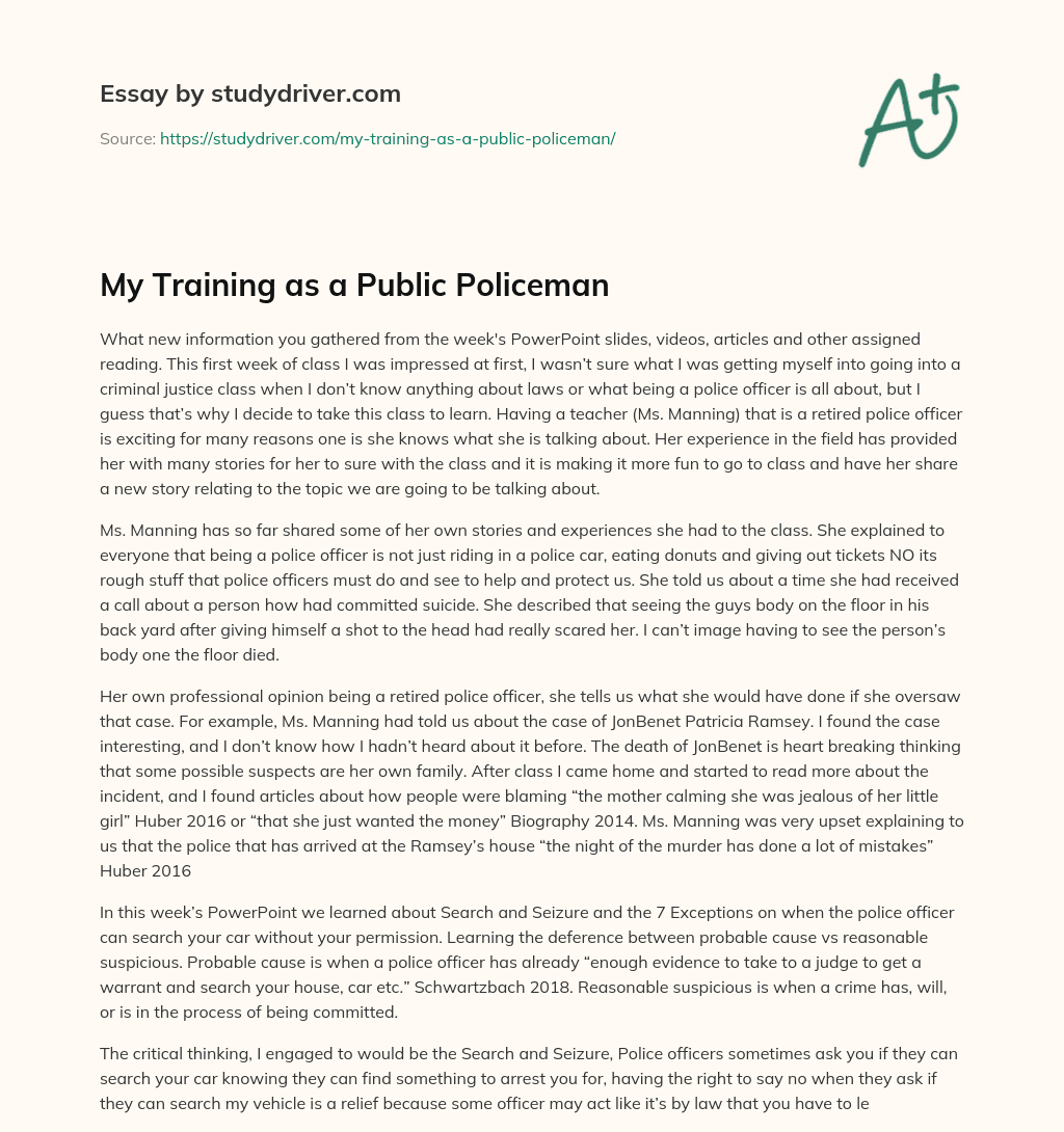 My Training as a Public Policeman essay