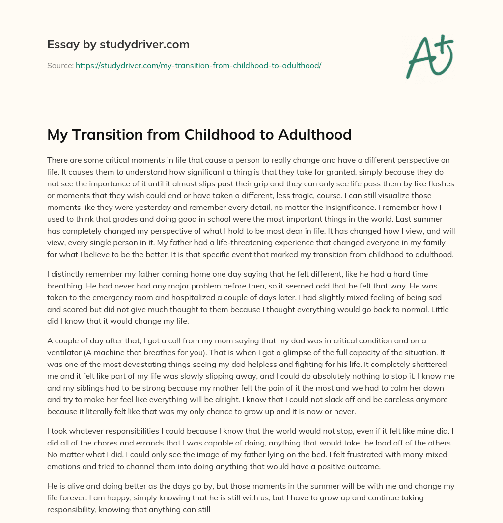 My Transition from Childhood to Adulthood essay