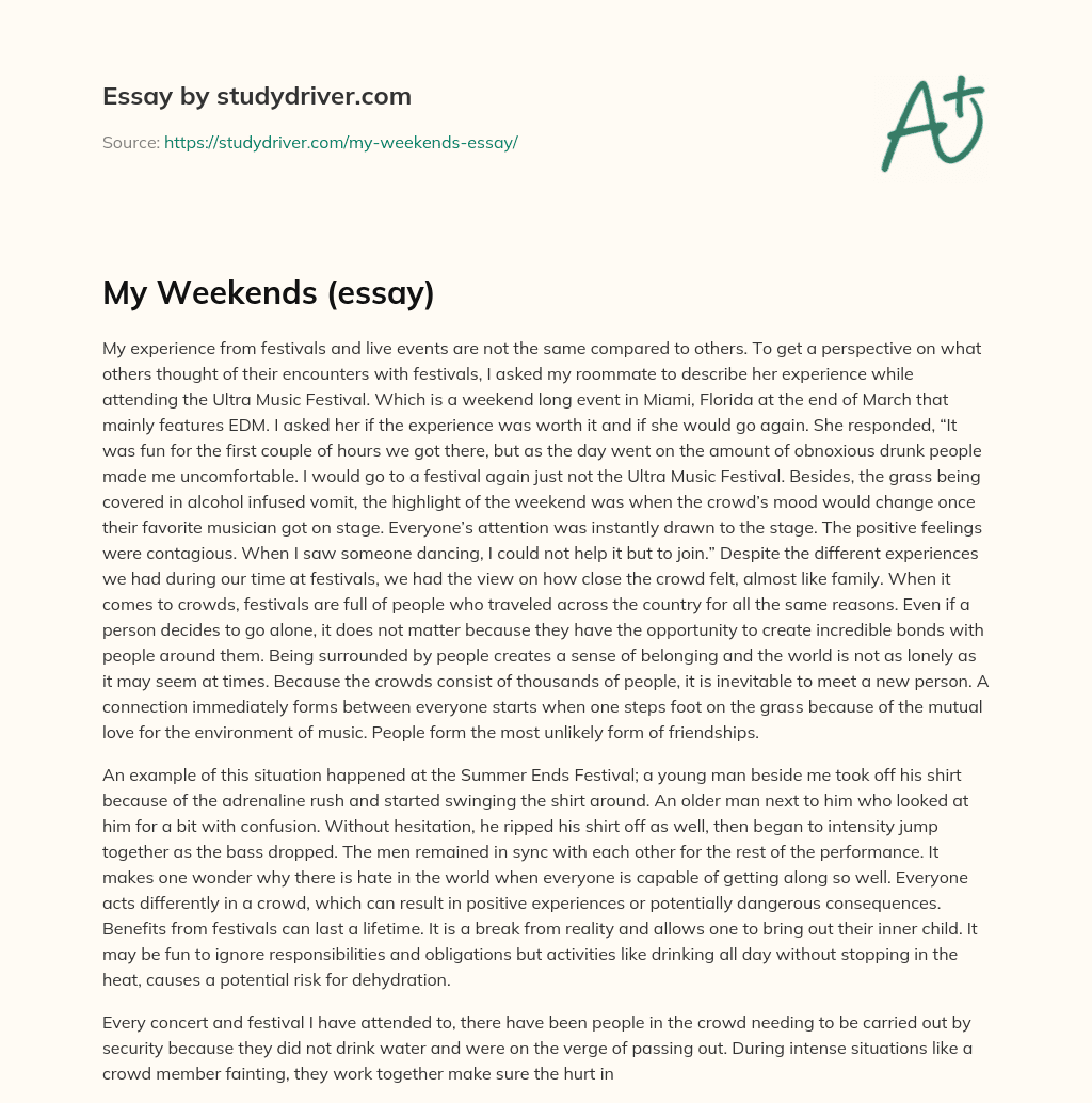 My Weekends (essay) essay