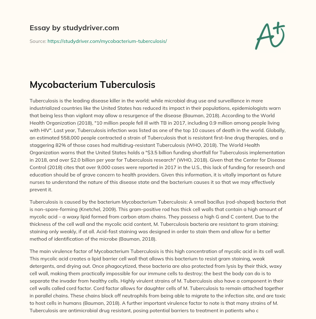 Mycobacterium Tuberculosis essay