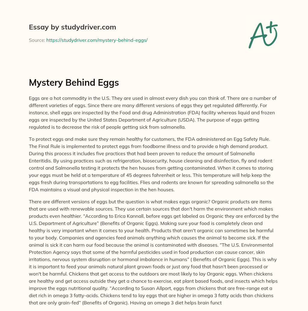 Mystery Behind Eggs essay