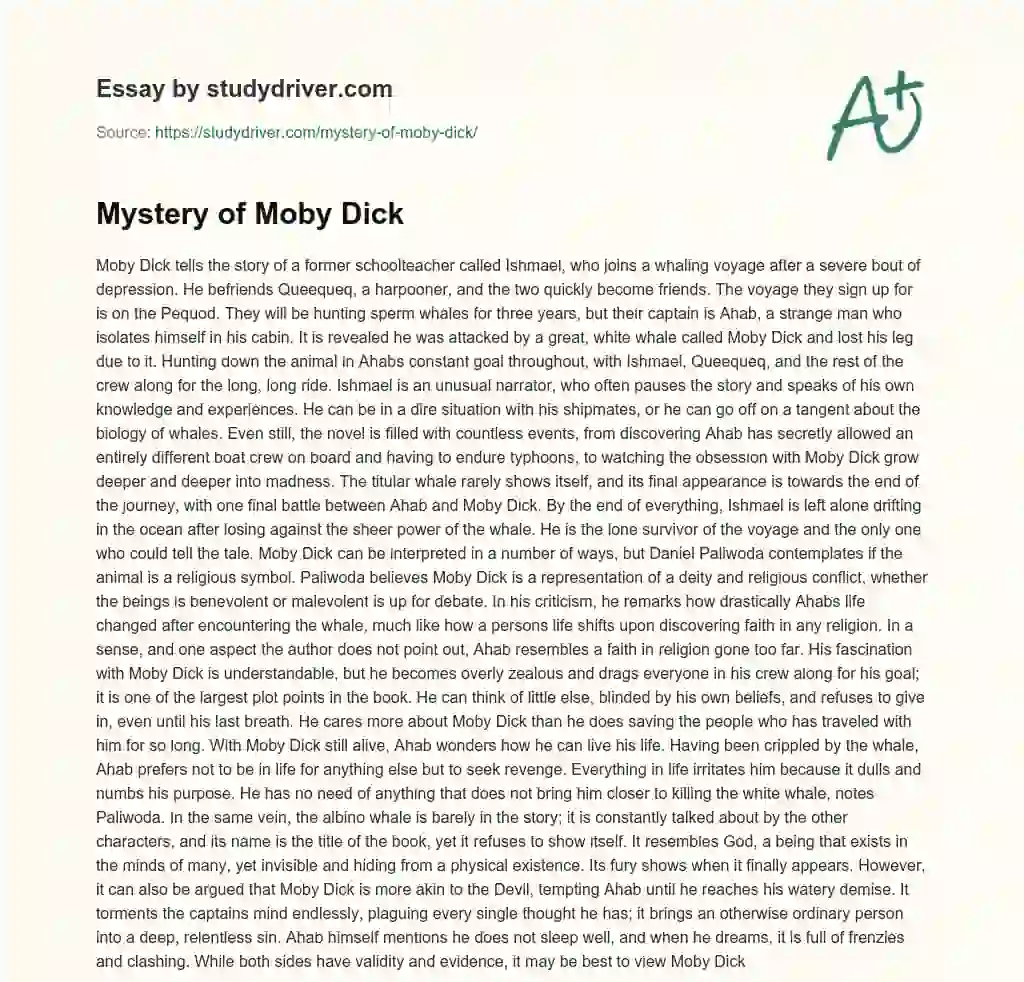 Mystery of Moby Dick essay