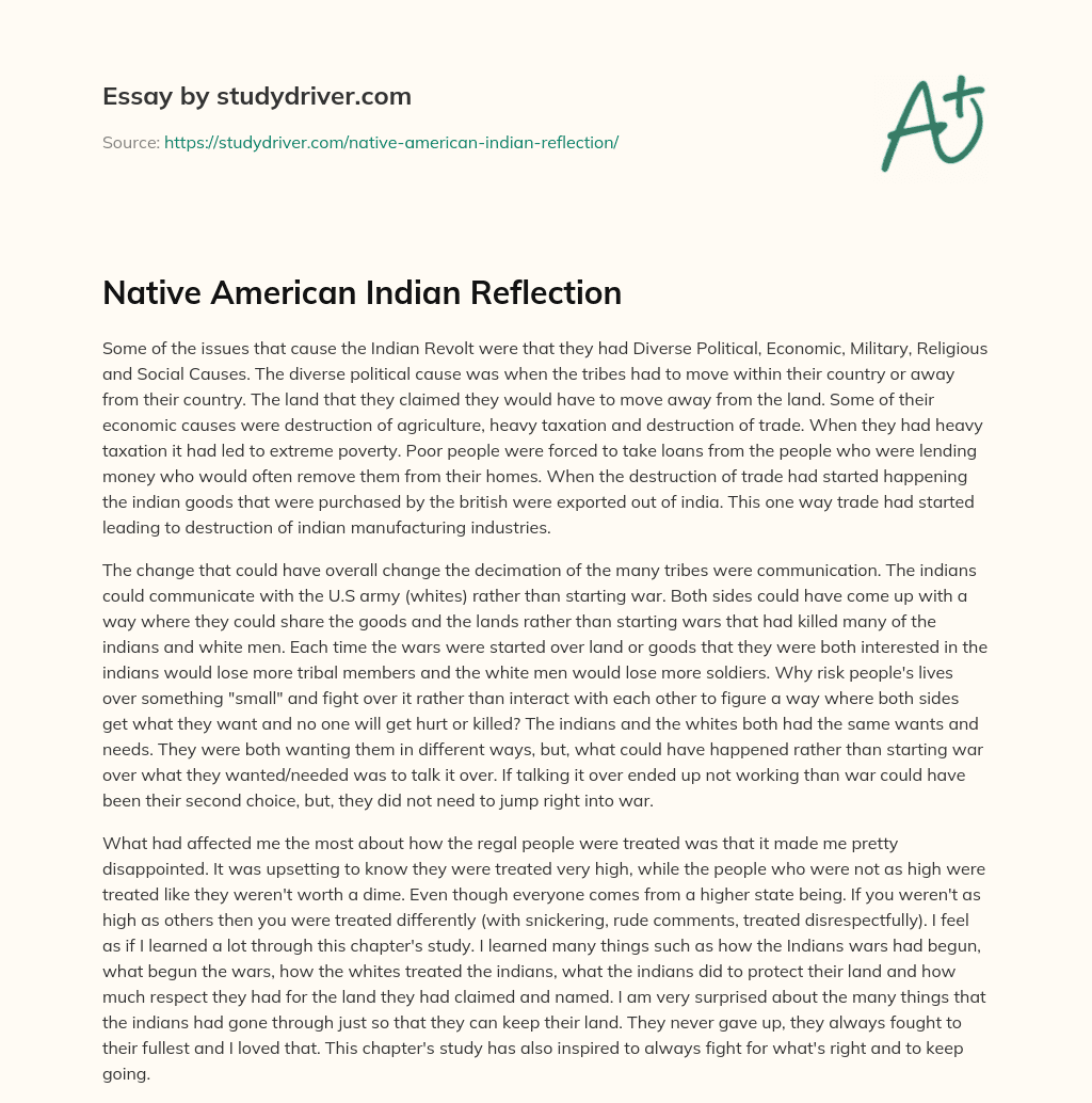 Native American Indian Reflection essay