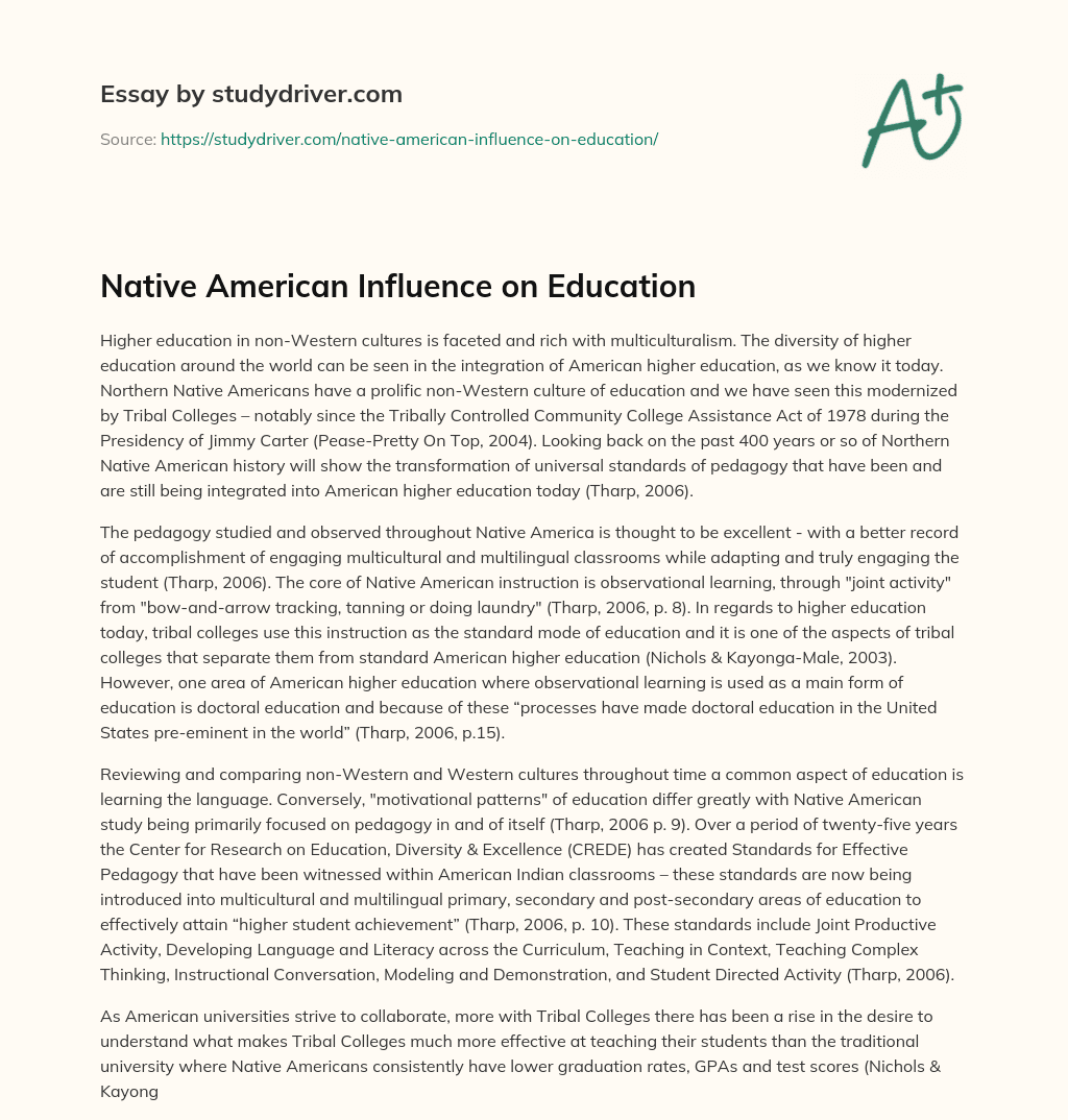 Native American Influence on Education essay