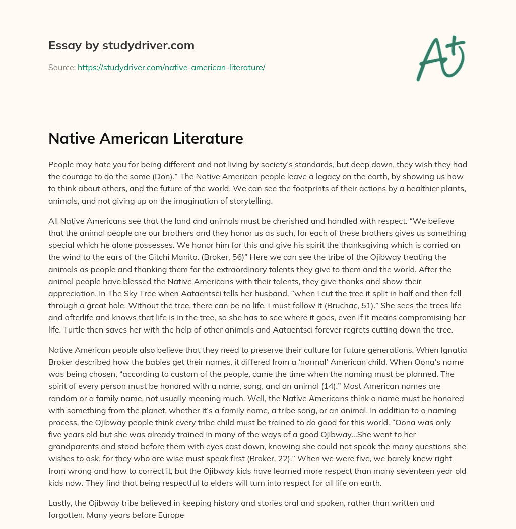 Native American Literature essay