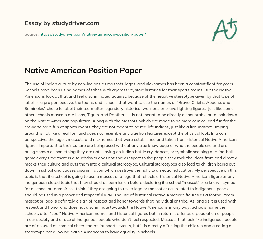 Native American Position Paper essay