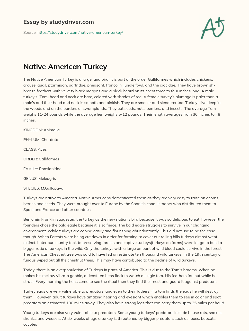 Native American Turkey essay