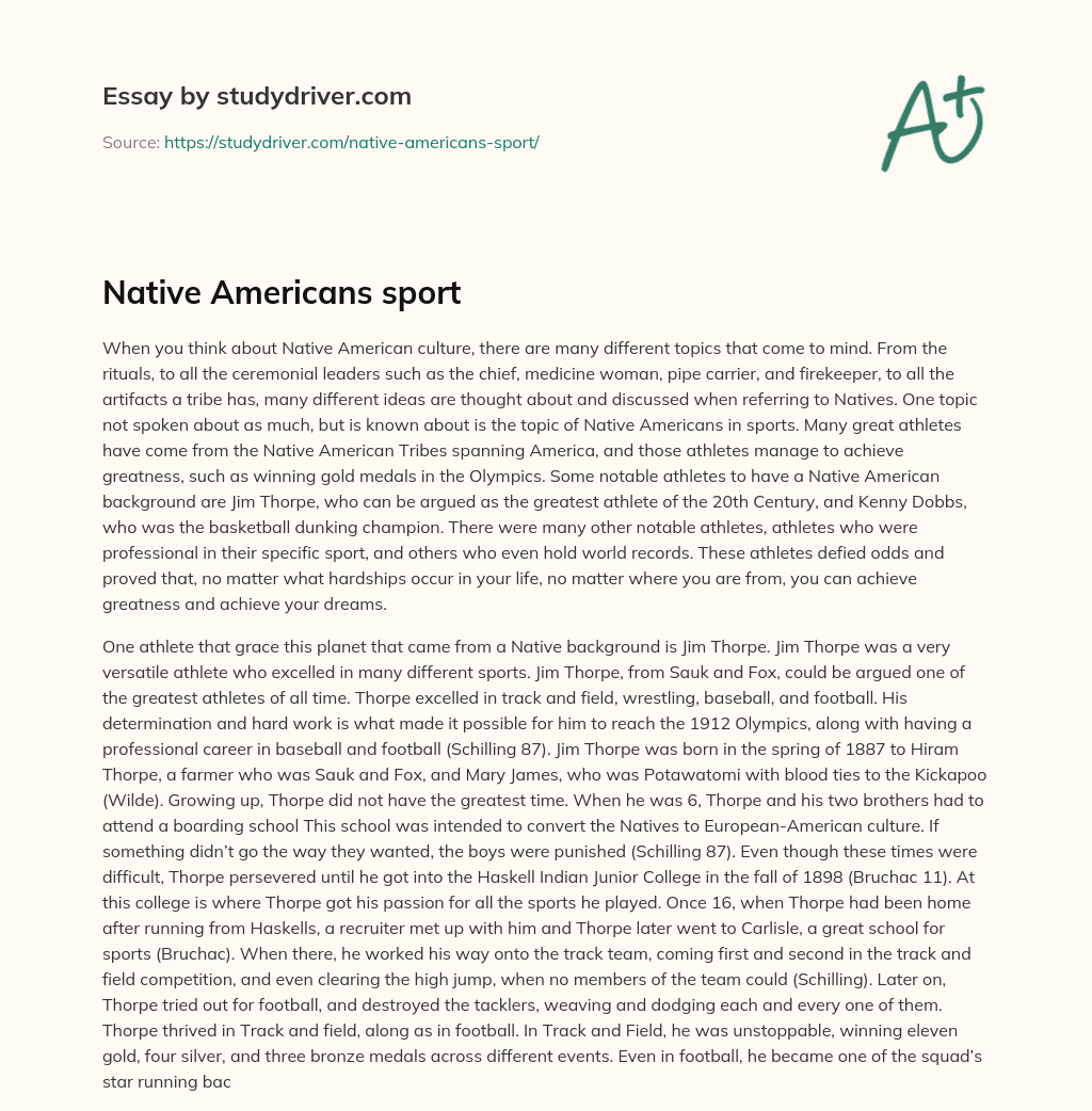Native Americans Sport essay
