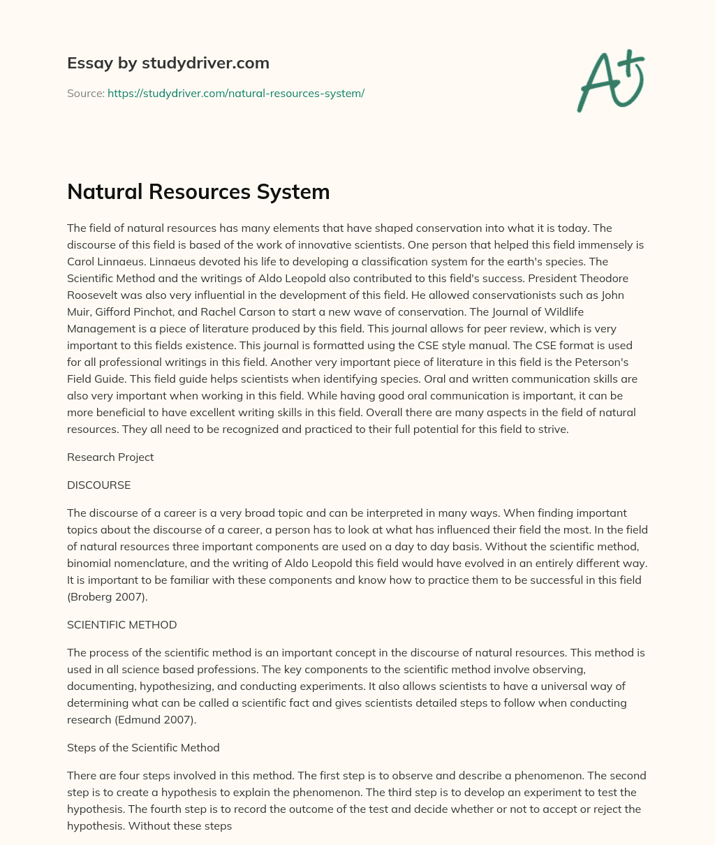 Natural Resources System essay