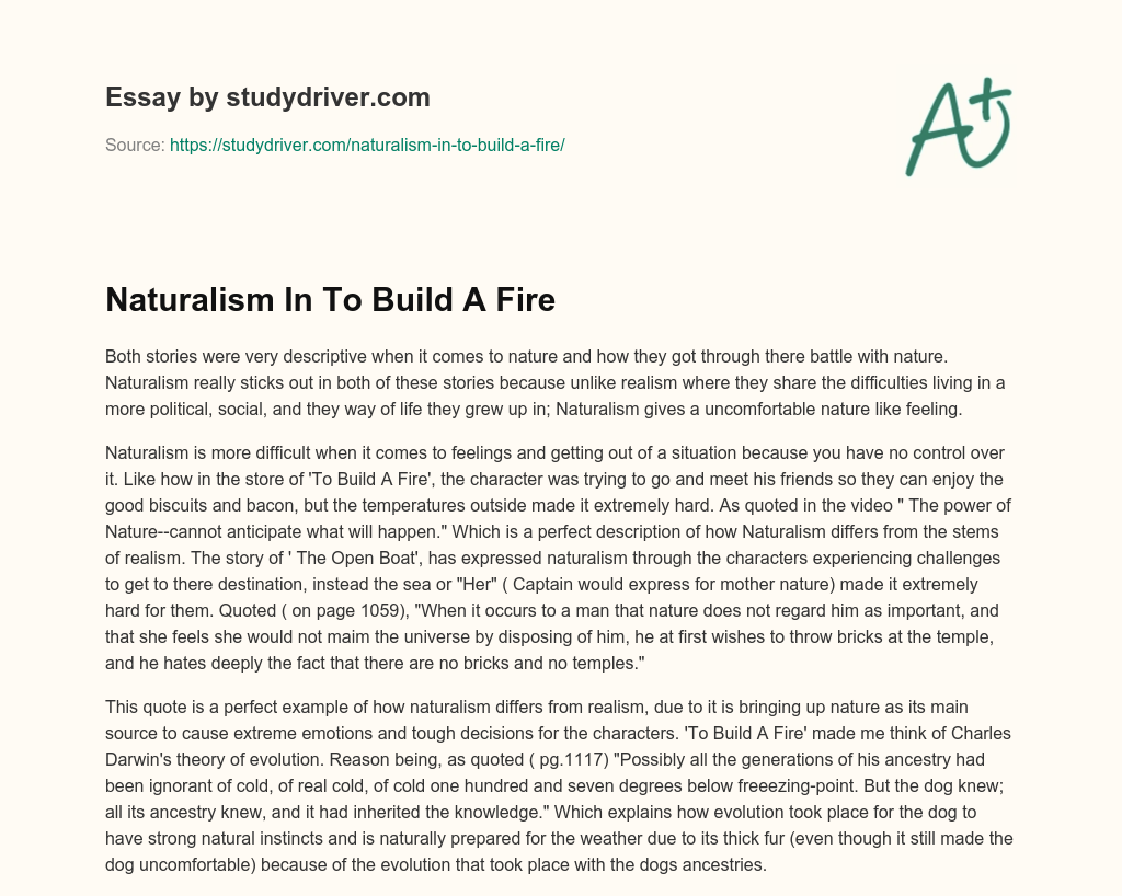Naturalism in to Build a Fire essay
