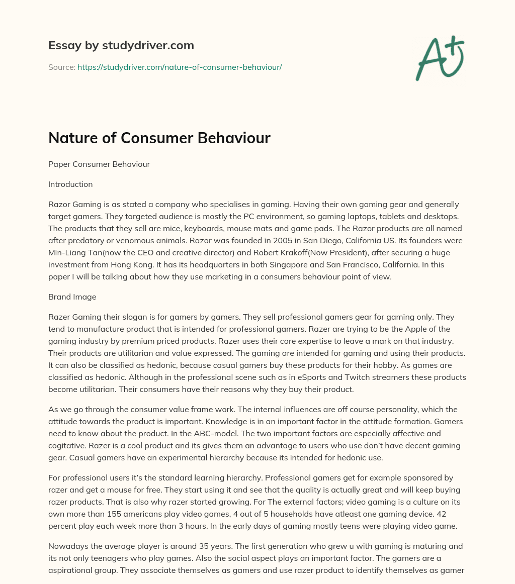 Nature of Consumer Behaviour essay