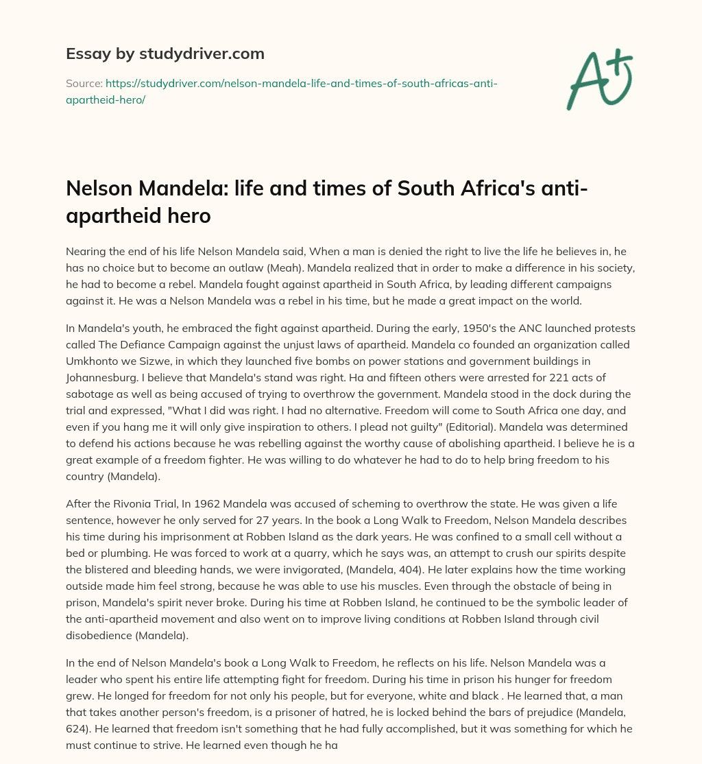Nelson Mandela: Life and Times of South Africa’s Anti-apartheid Hero essay