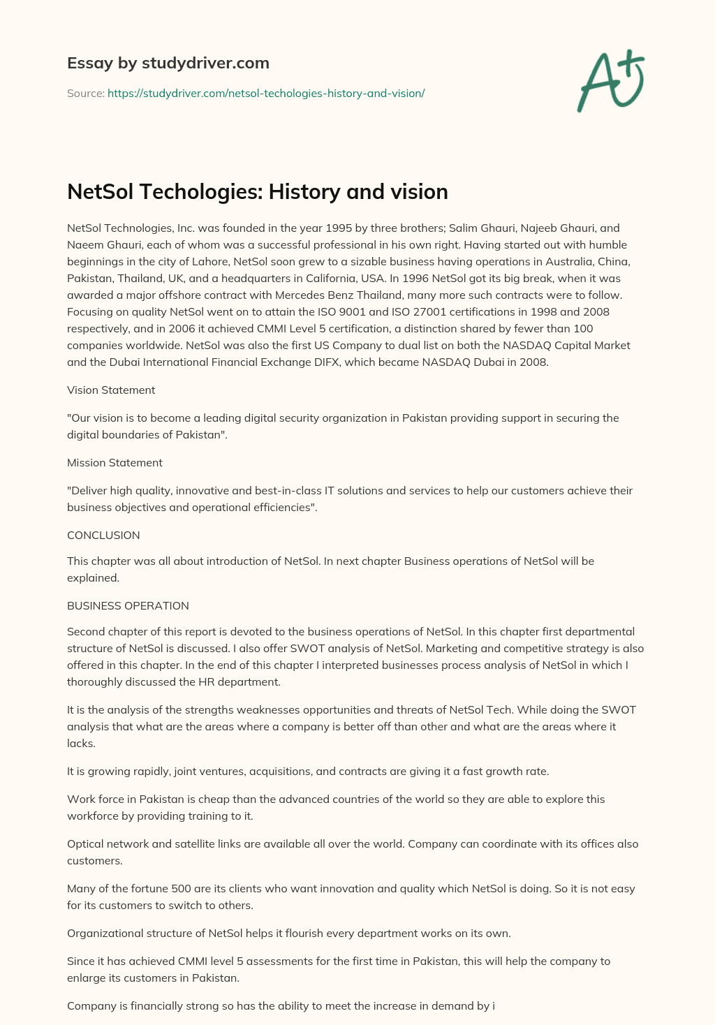 NetSol Techologies: History and Vision essay