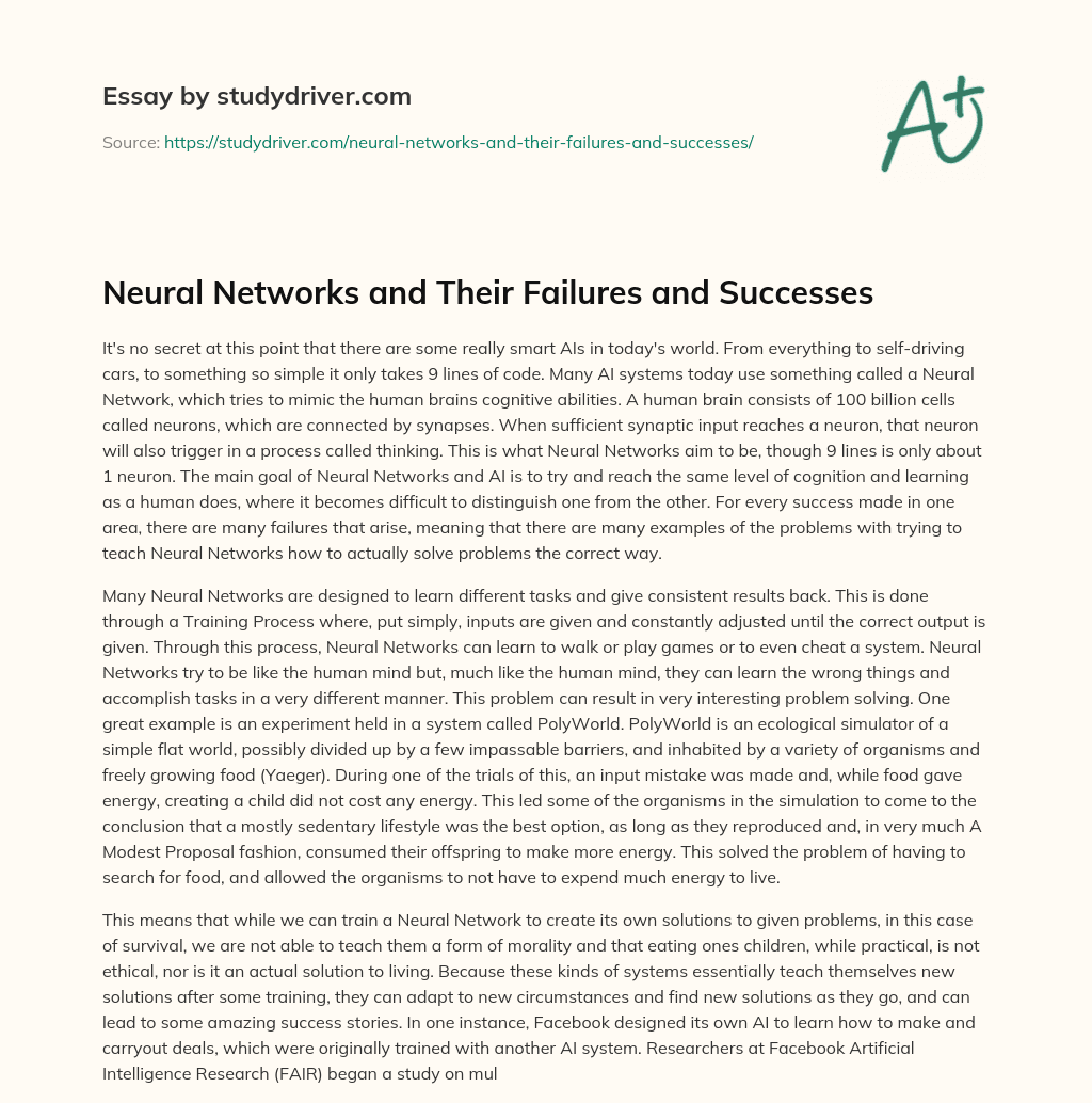 Neural Networks and their Failures and Successes essay