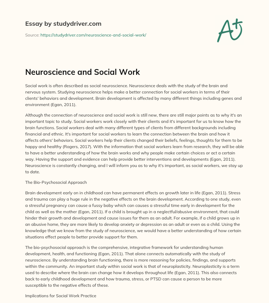 Neuroscience and Social Work essay