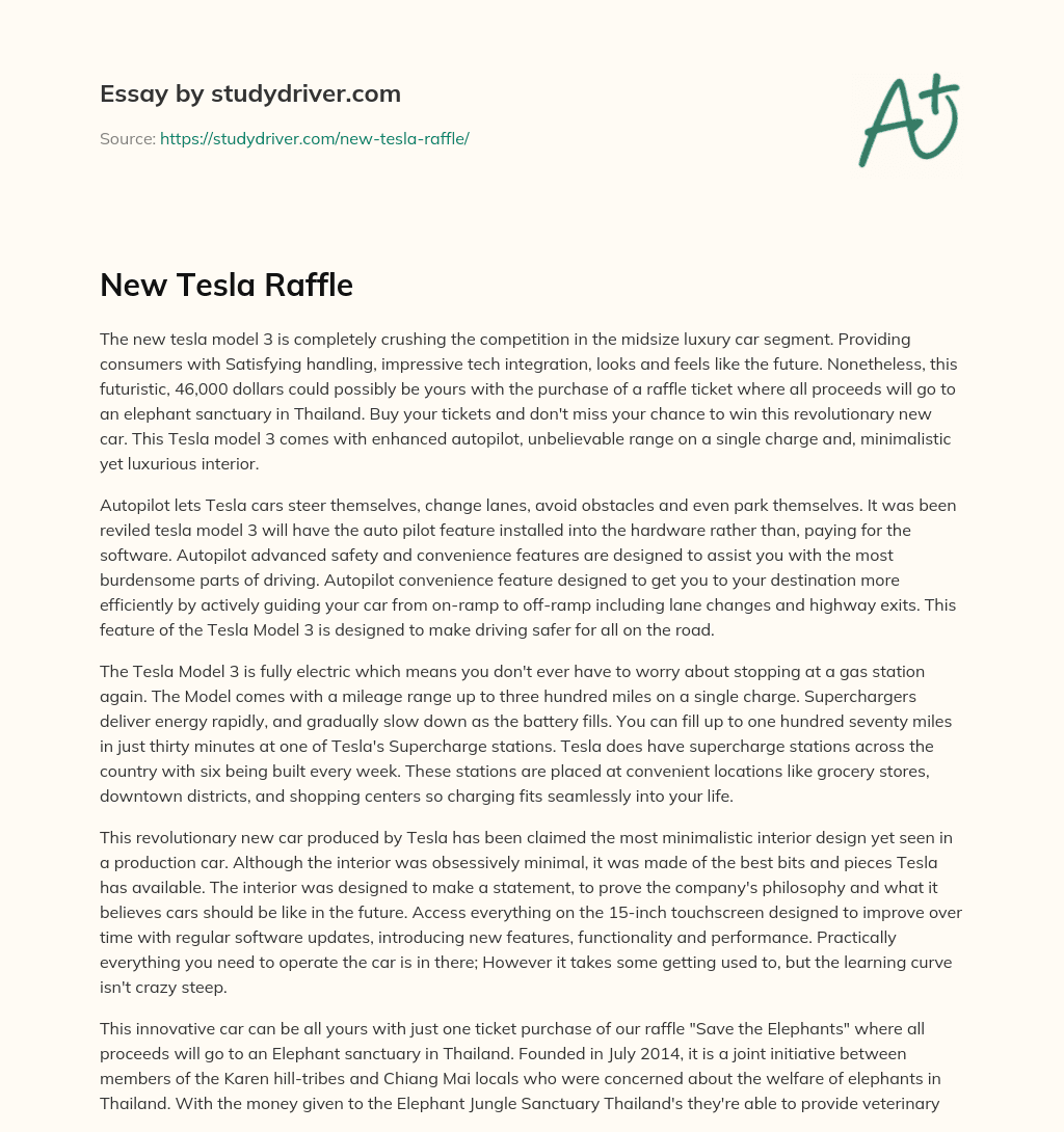 New Tesla Raffle essay