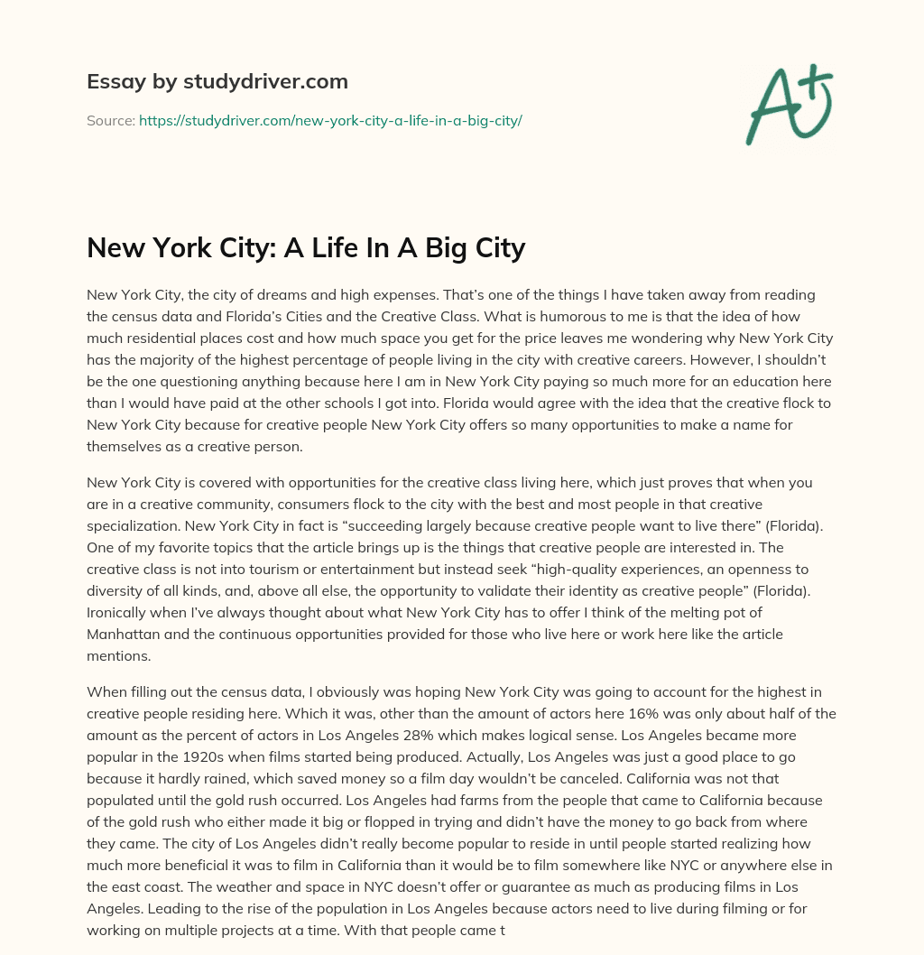 New York City: a Life in a Big City essay