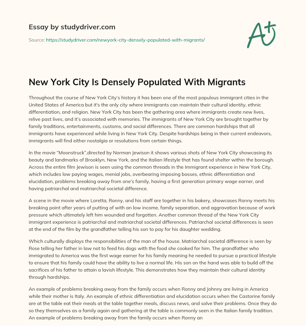 New York City is Densely Populated with Migrants essay
