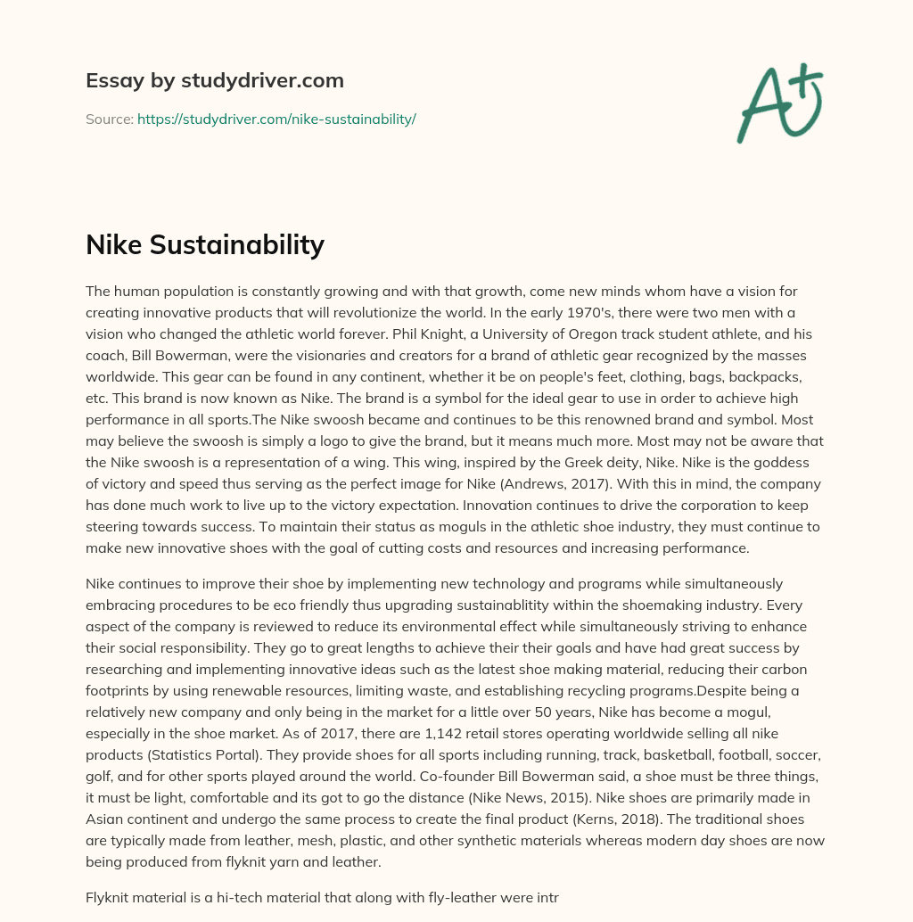 Nike Sustainability Free Essay | StudyDriver.com
