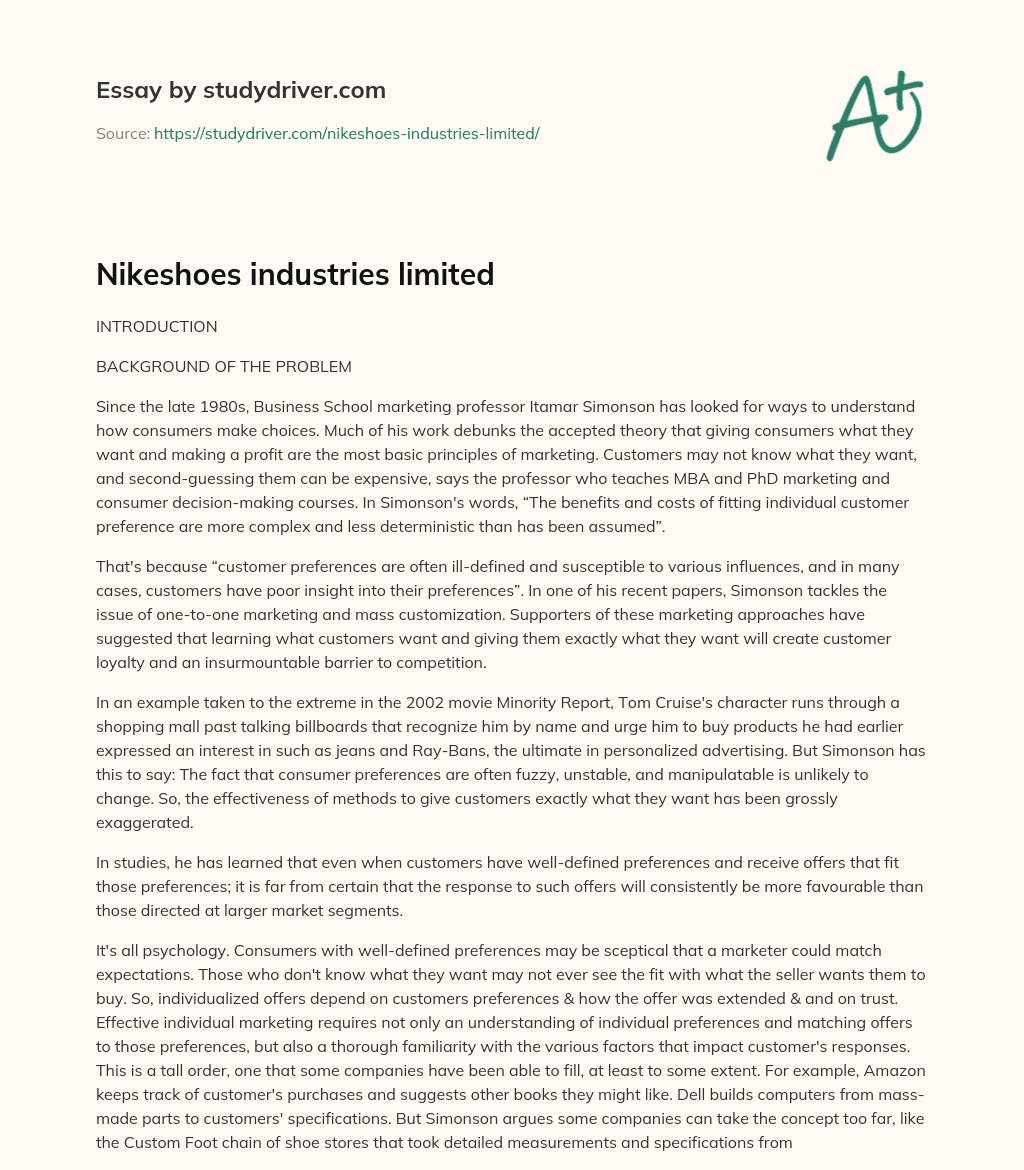 Nikeshoes Industries Limited essay