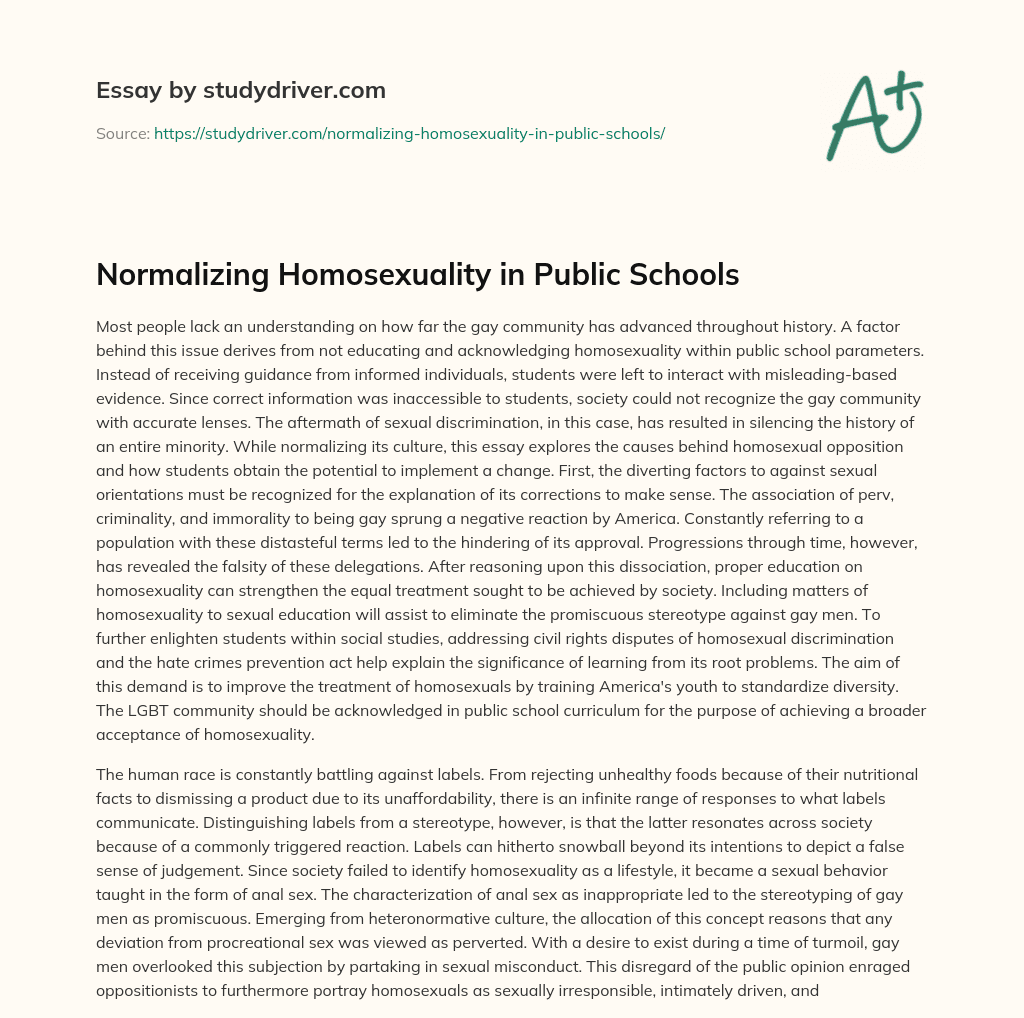 Normalizing Homosexuality in Public Schools essay