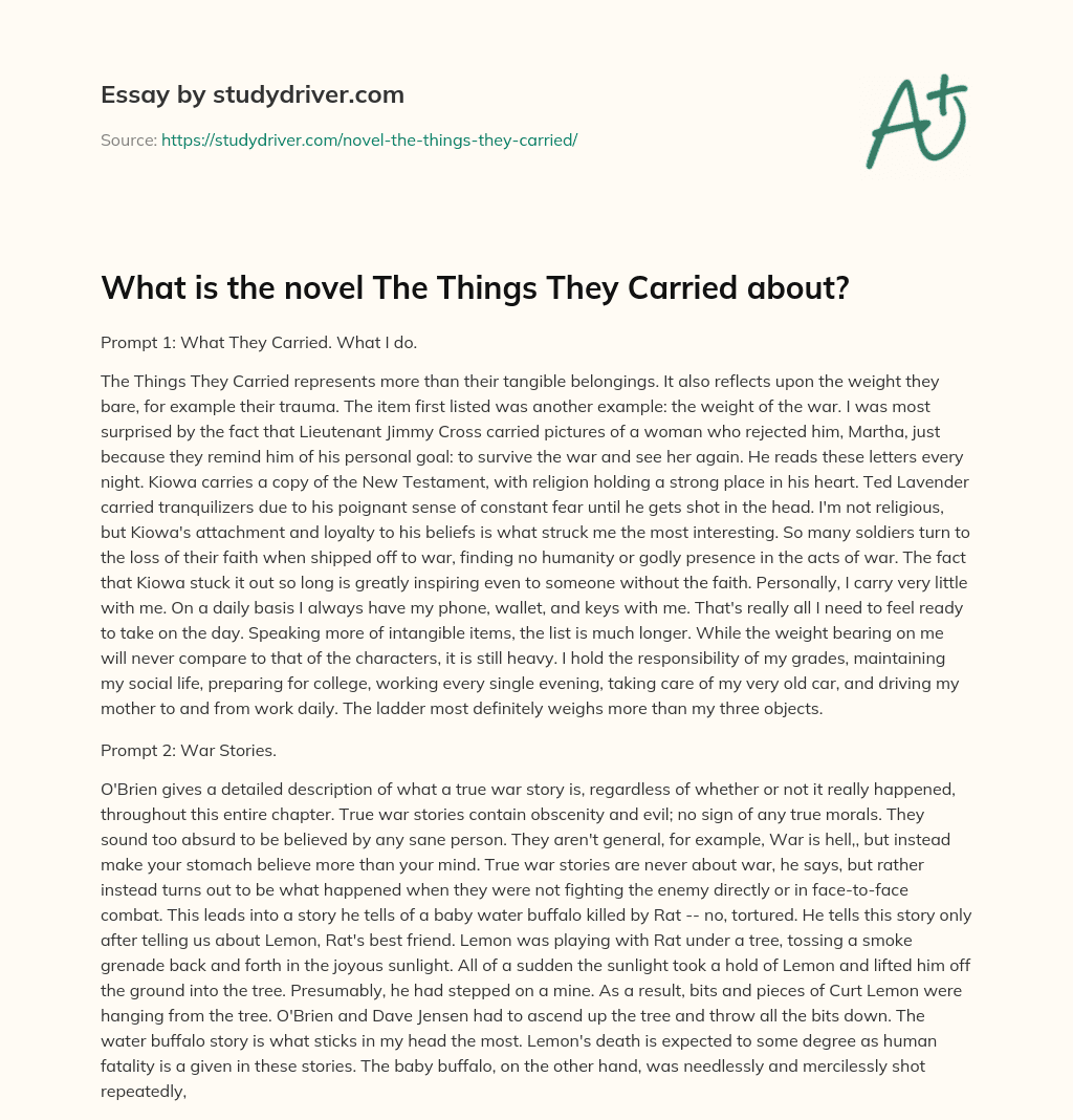 What is the Novel the Things they Carried About? essay