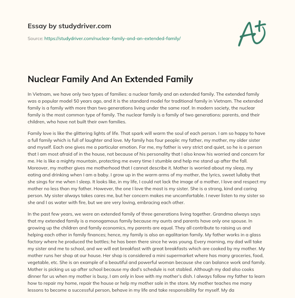 Nuclear Family and an Extended Family essay