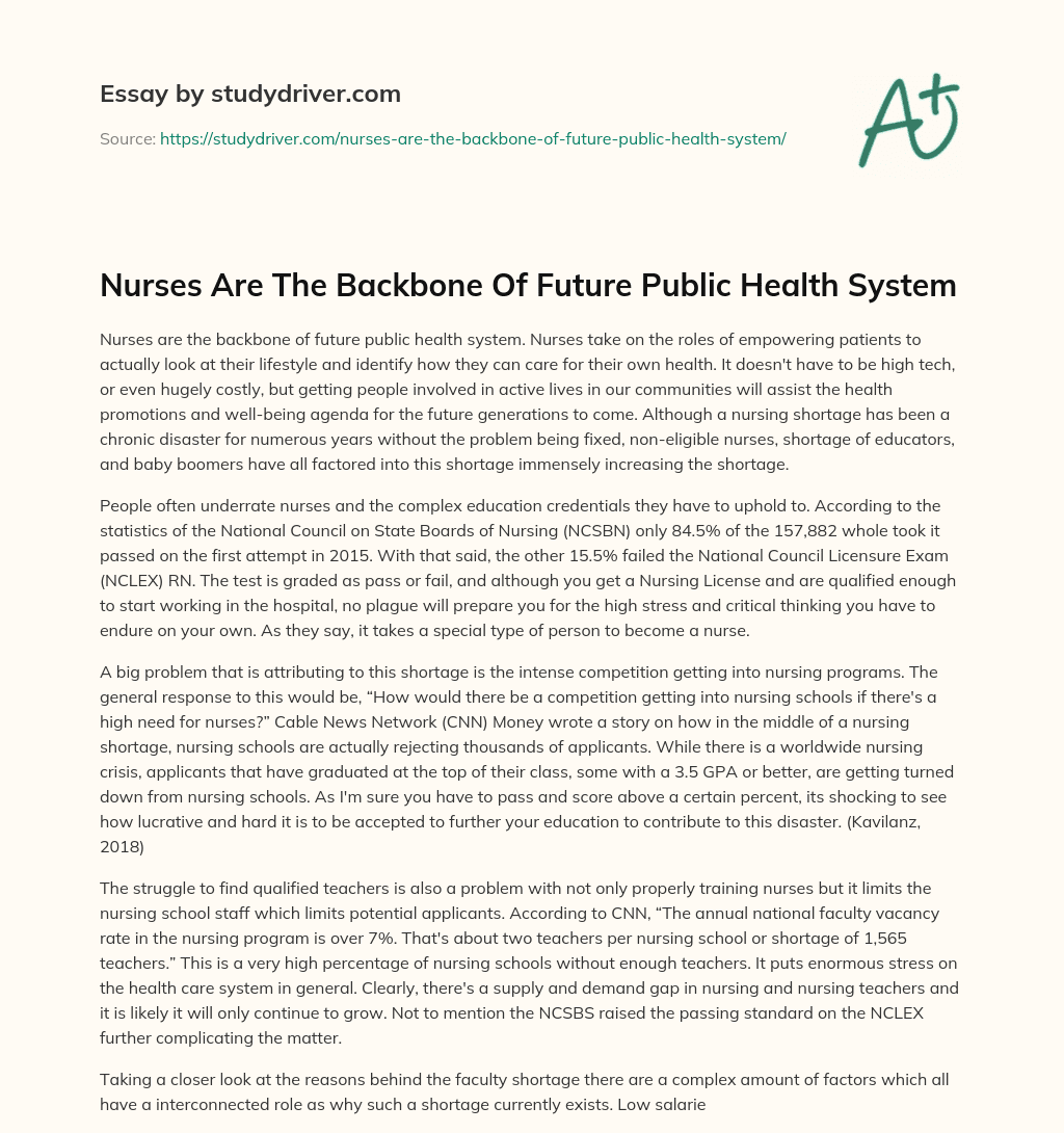 Nurses are the Backbone of Future Public Health System essay
