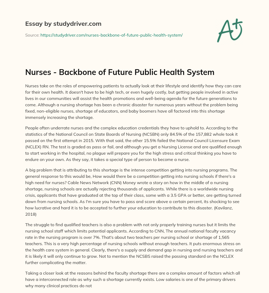 Nurses – Backbone of Future Public Health System essay