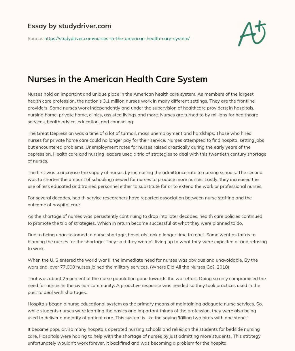 Nurses in the American Health Care System essay