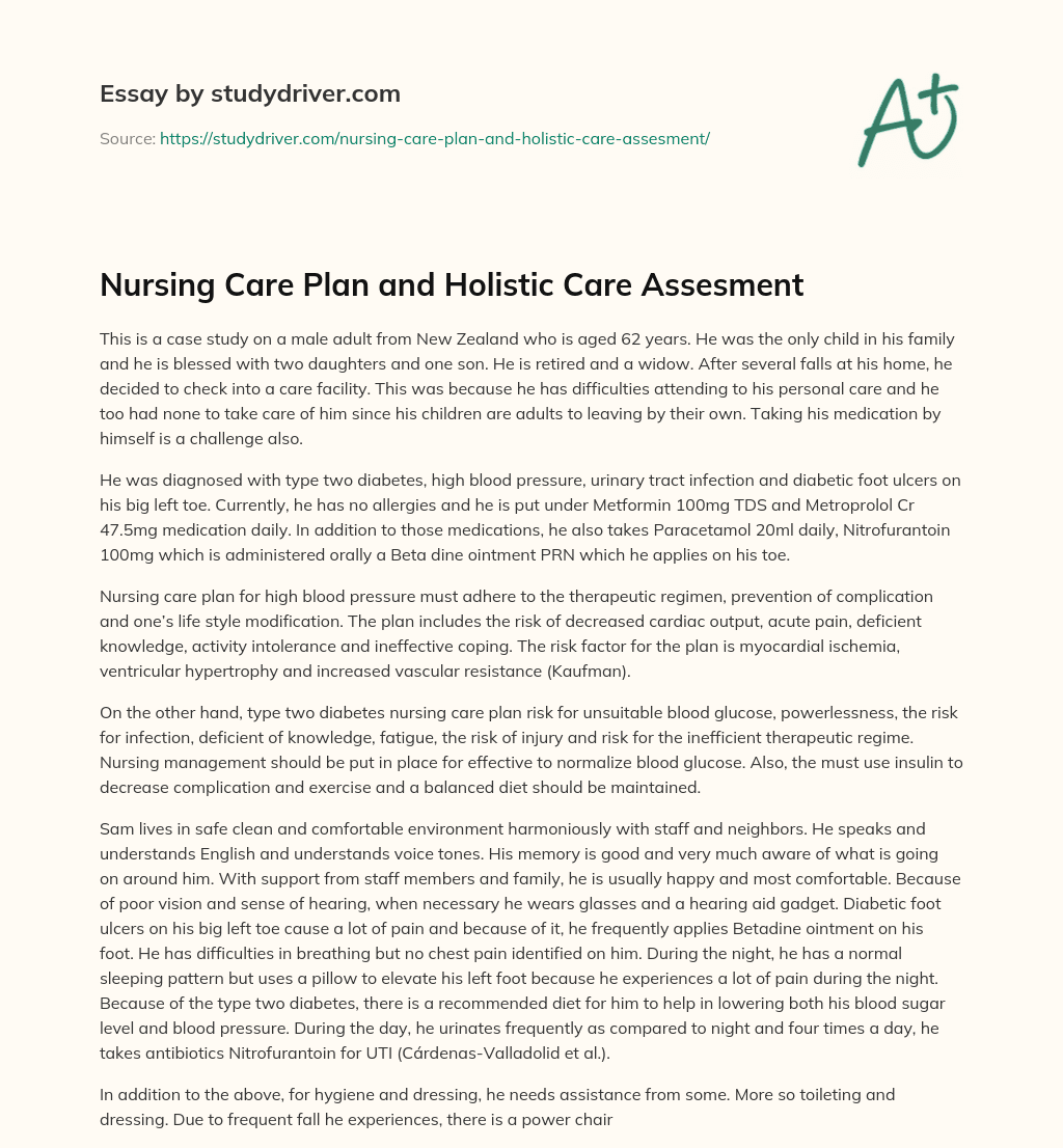 Nursing Care Plan and Holistic Care Assesment essay