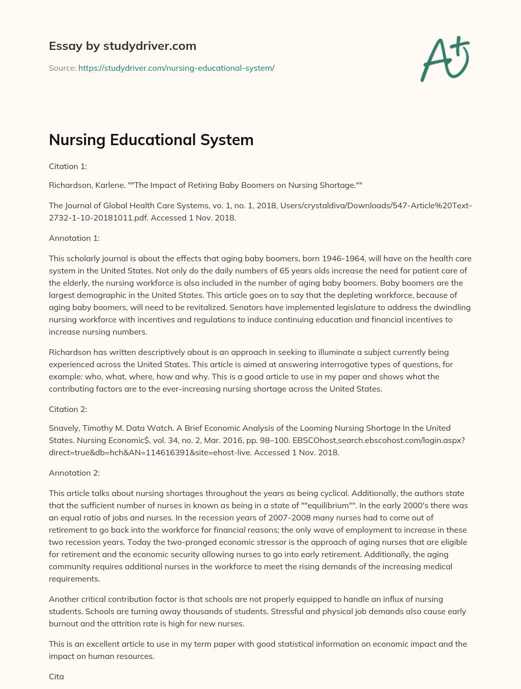Nursing Educational System essay